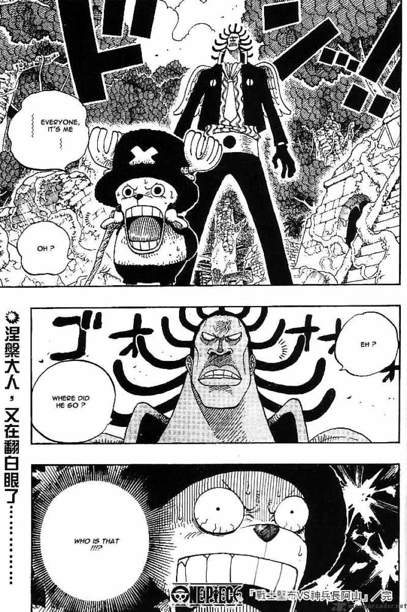 One Piece chapter 261 - page 19