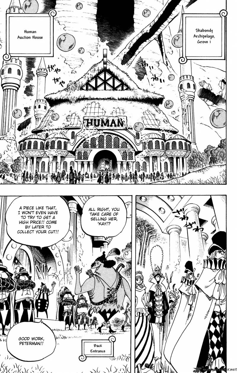 One Piece chapter 500 - page 13