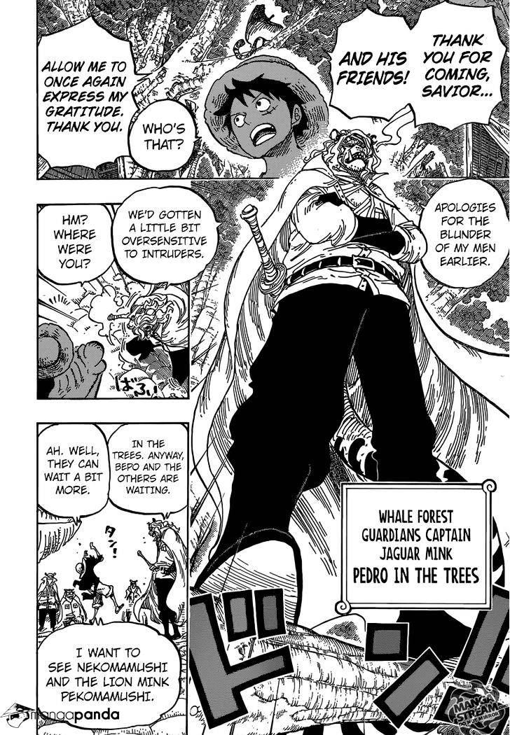 One Piece chapter 814 - page 13