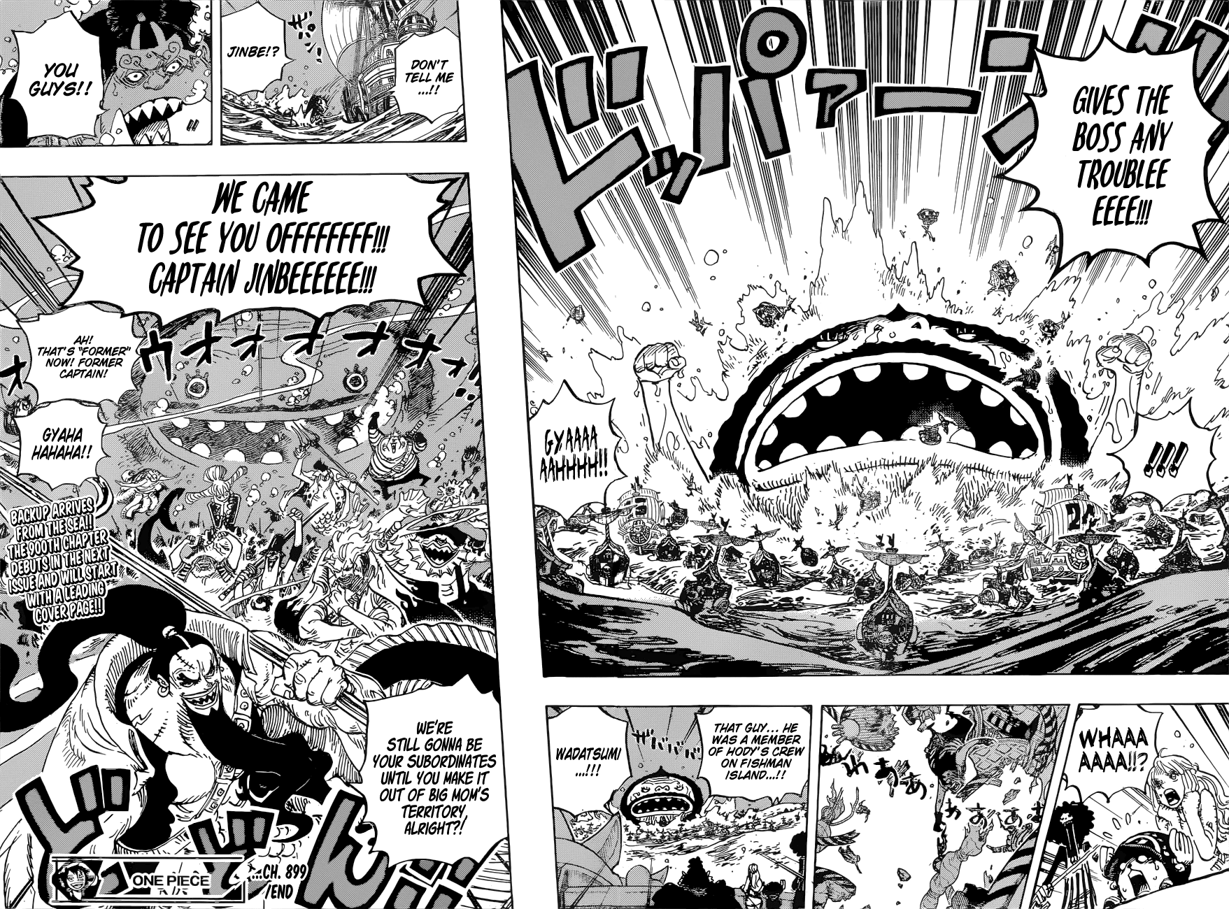 One Piece chapter 899 - page 17