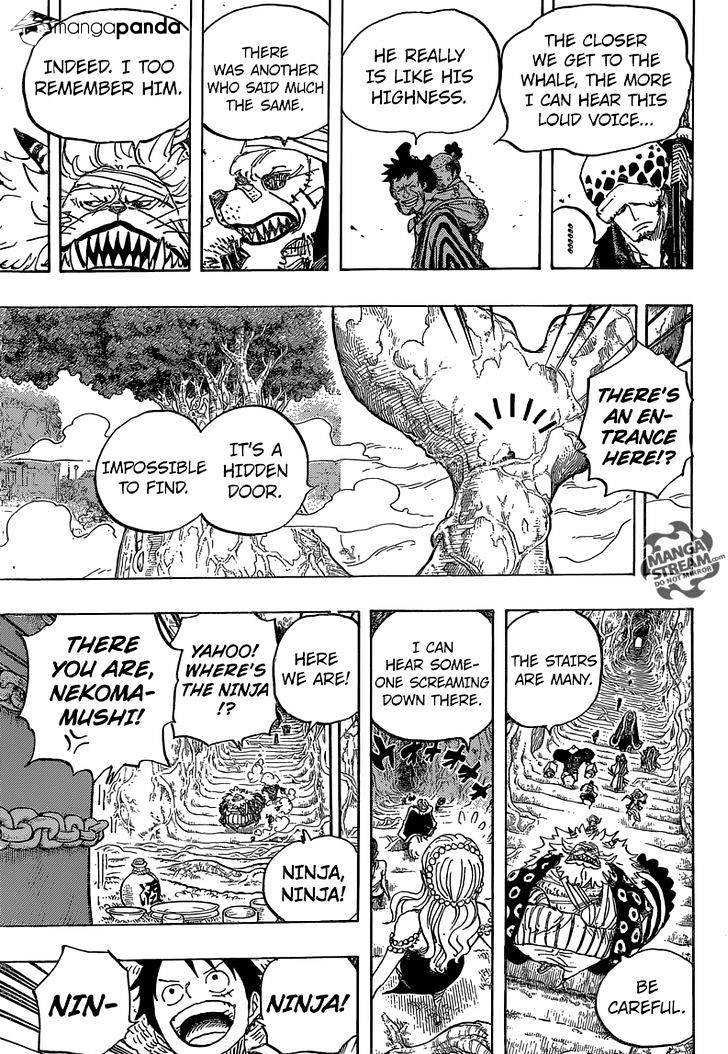 One Piece chapter 817 - page 13