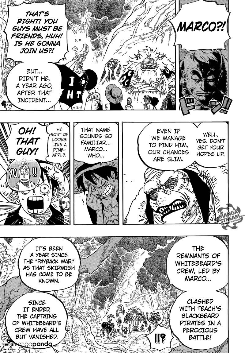 One Piece chapter 820 - page 13