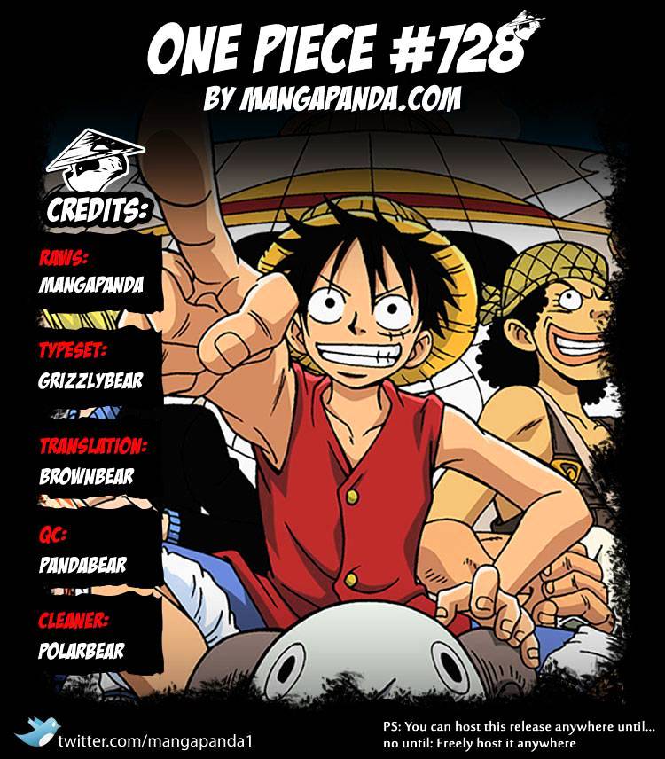 One Piece chapter 728 - page 22