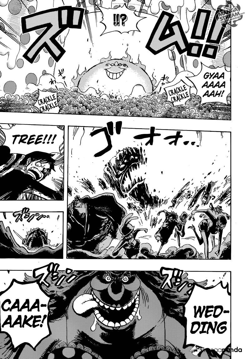 One Piece chapter 874 - page 15