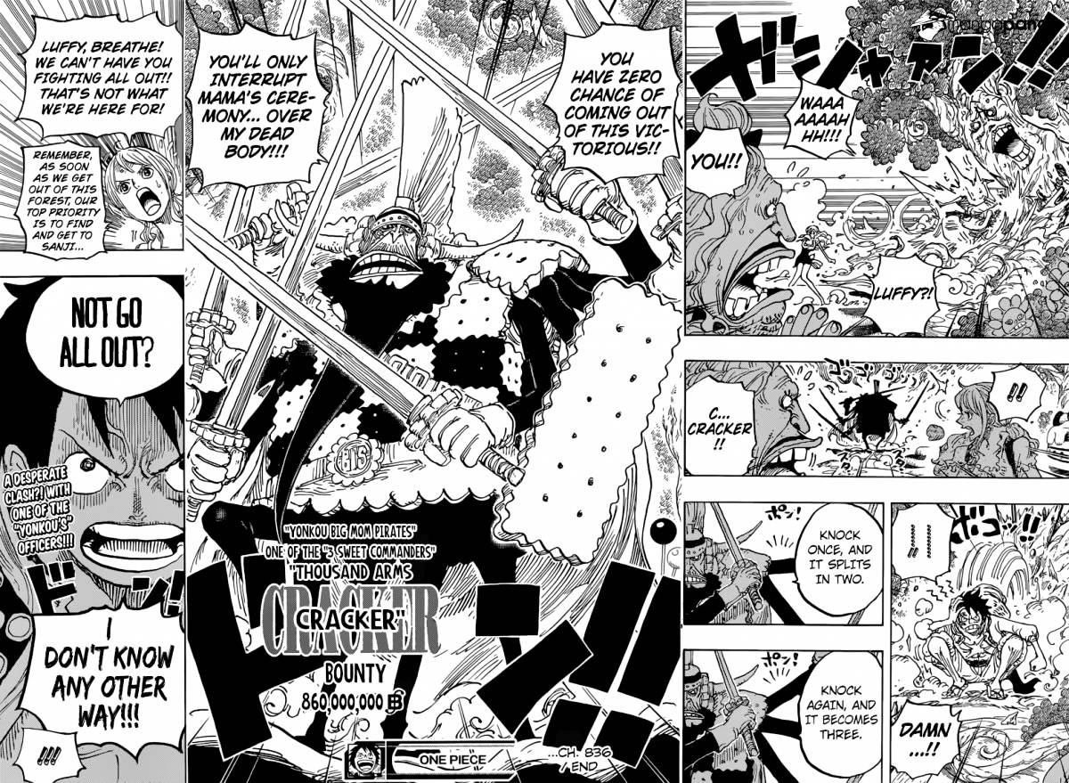 One Piece chapter 836 - page 14