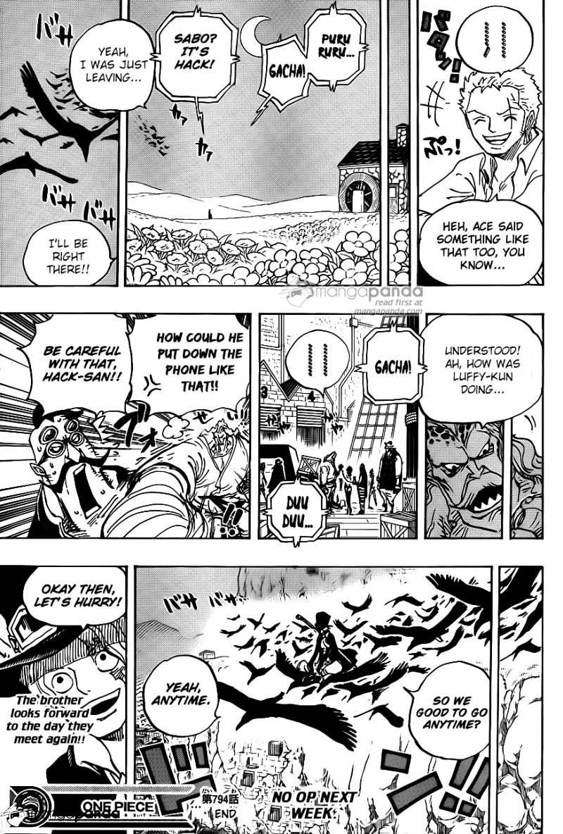 One Piece chapter 794 - page 15