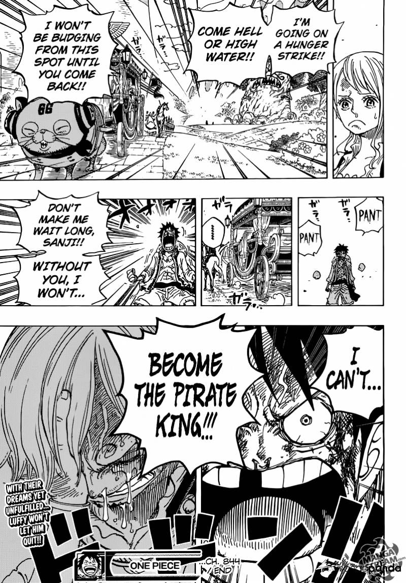 One Piece chapter 844 - page 19