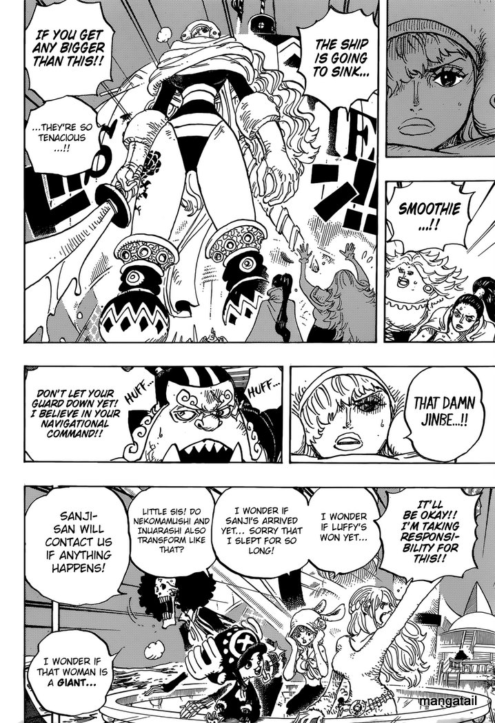 One Piece chapter 894 - page 13