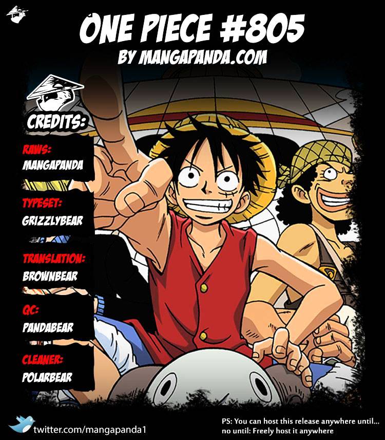 One Piece chapter 805 - page 17