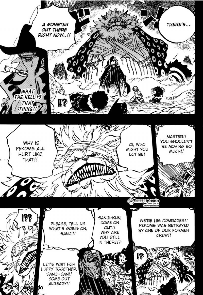 One Piece chapter 813 - page 15