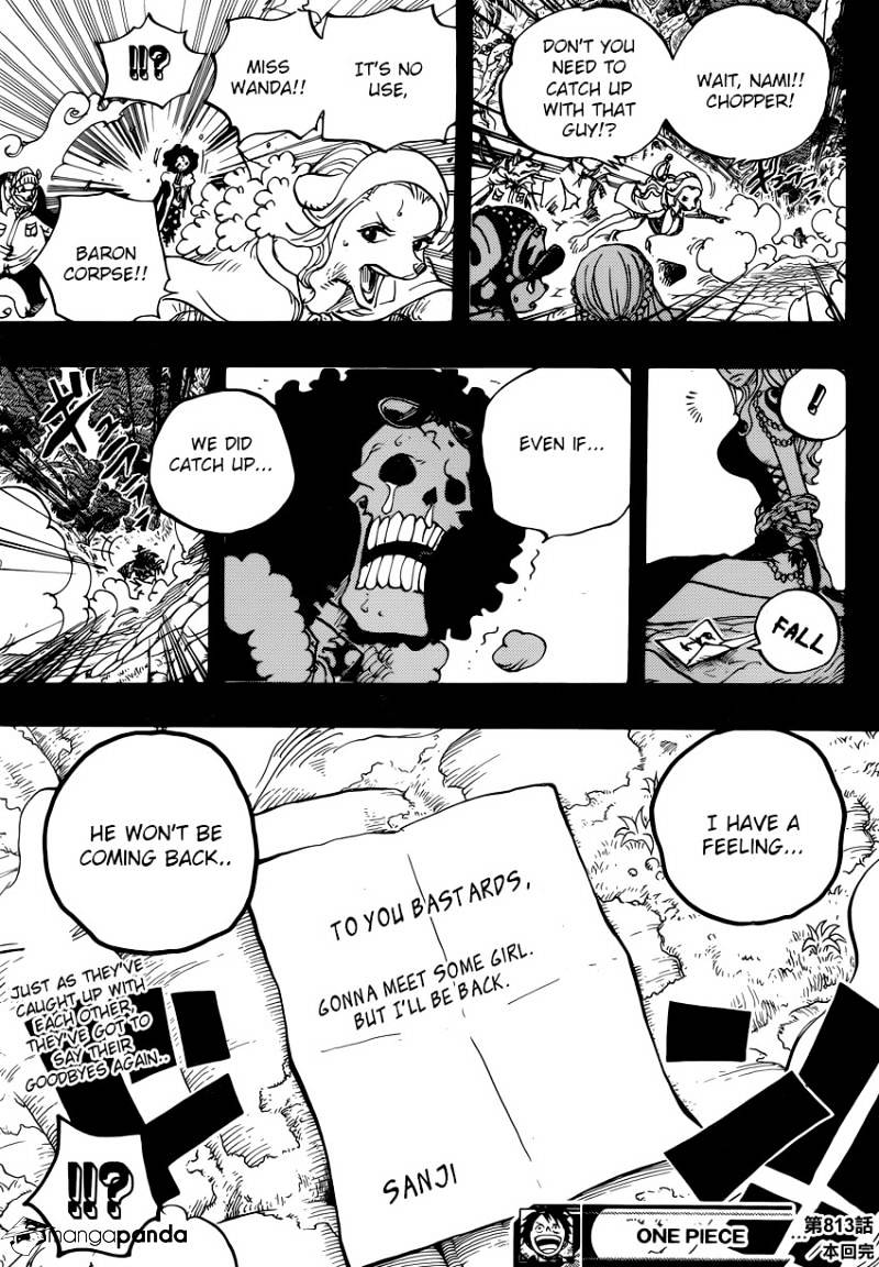 One Piece chapter 813 - page 17