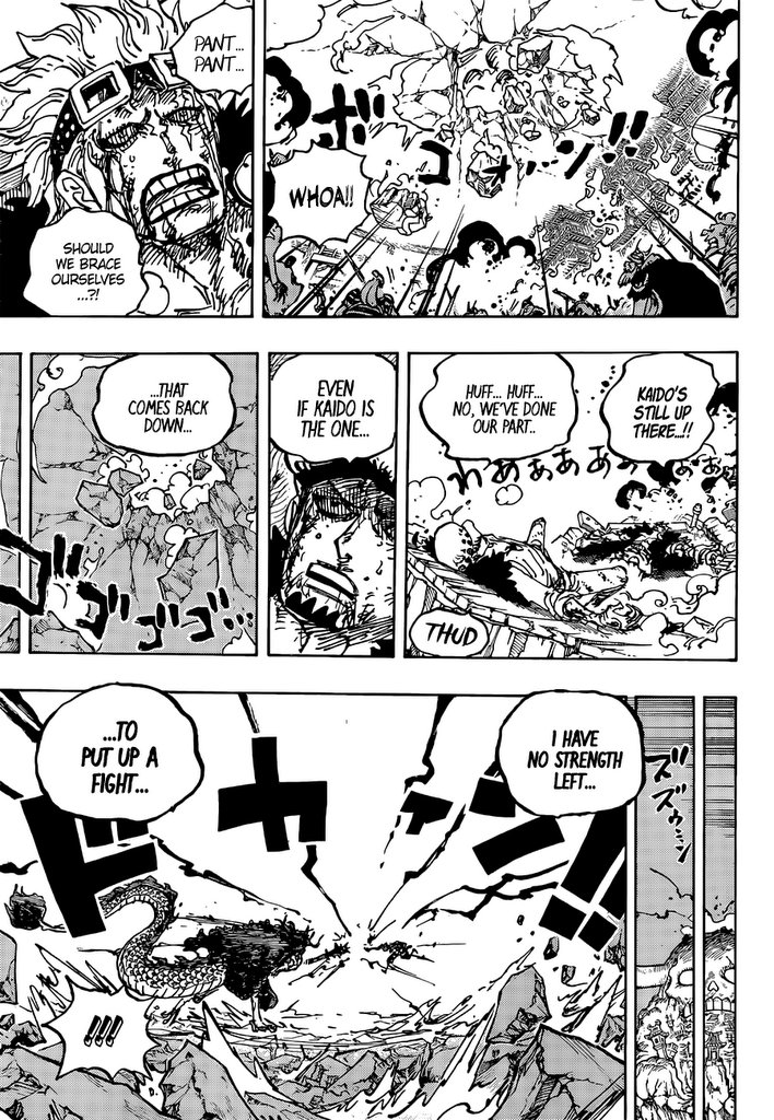 One Piece chapter 1041 - page 14