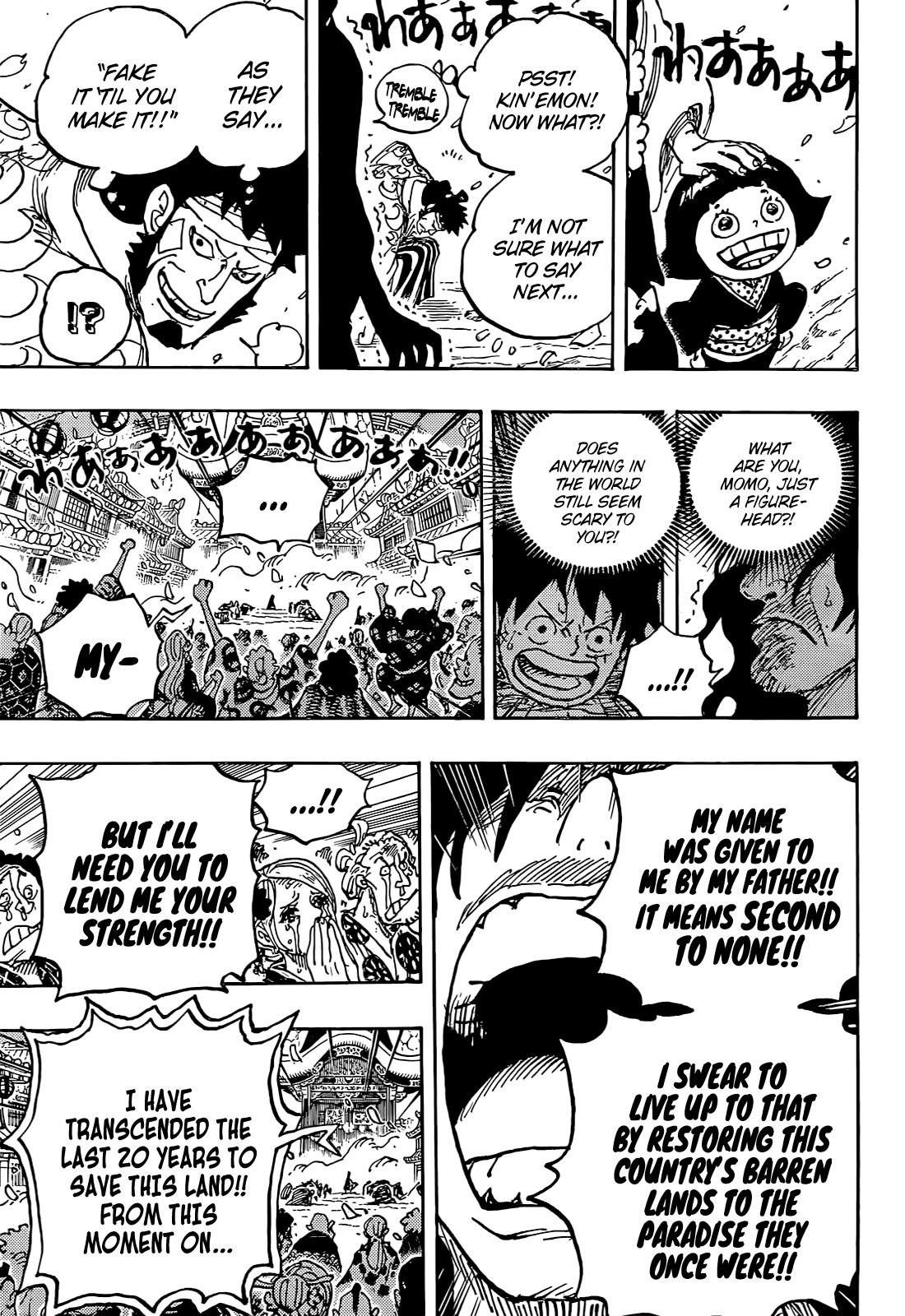 One Piece chapter 1051 - page 14