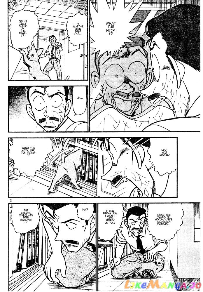 Detective Conan Chapter 528 - page 12