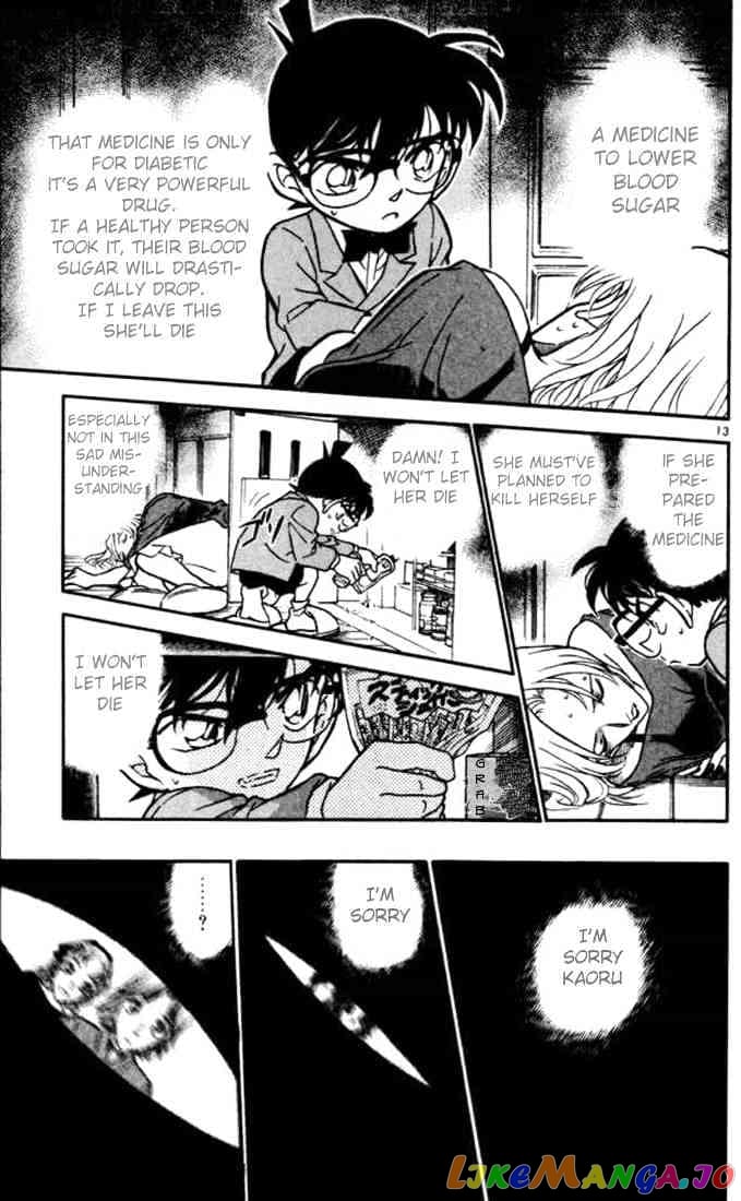 Detective Conan Chapter 324 - page 13