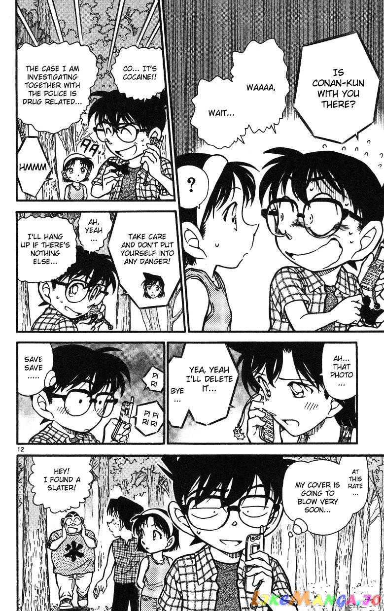 Detective Conan Chapter 491 - page 12