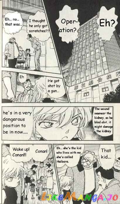 Detective Conan Chapter 253 - page 14