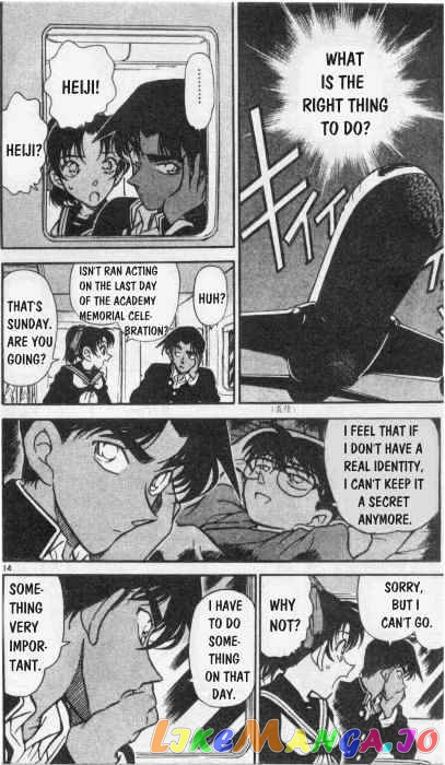 Detective Conan Chapter 254 - page 14