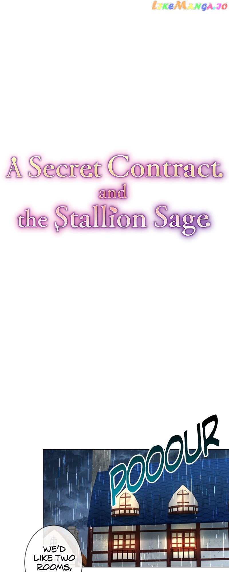 A Secret Contract and the Stallion Sage Chapter 7 - page 11