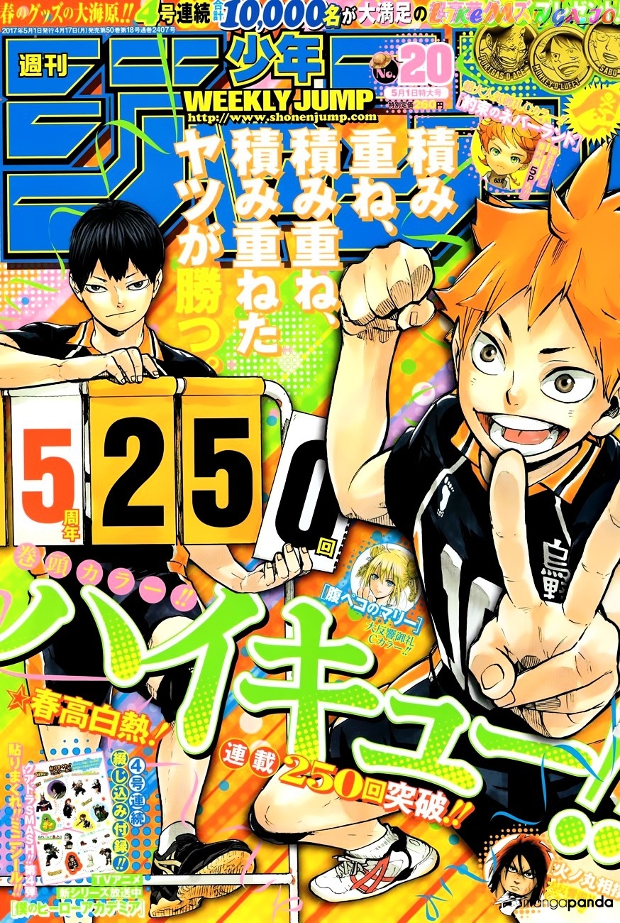 Haikyuu!! chapter 250 - page 1