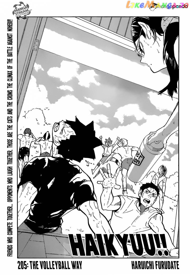 Haikyuu!! chapter 205 - page 1