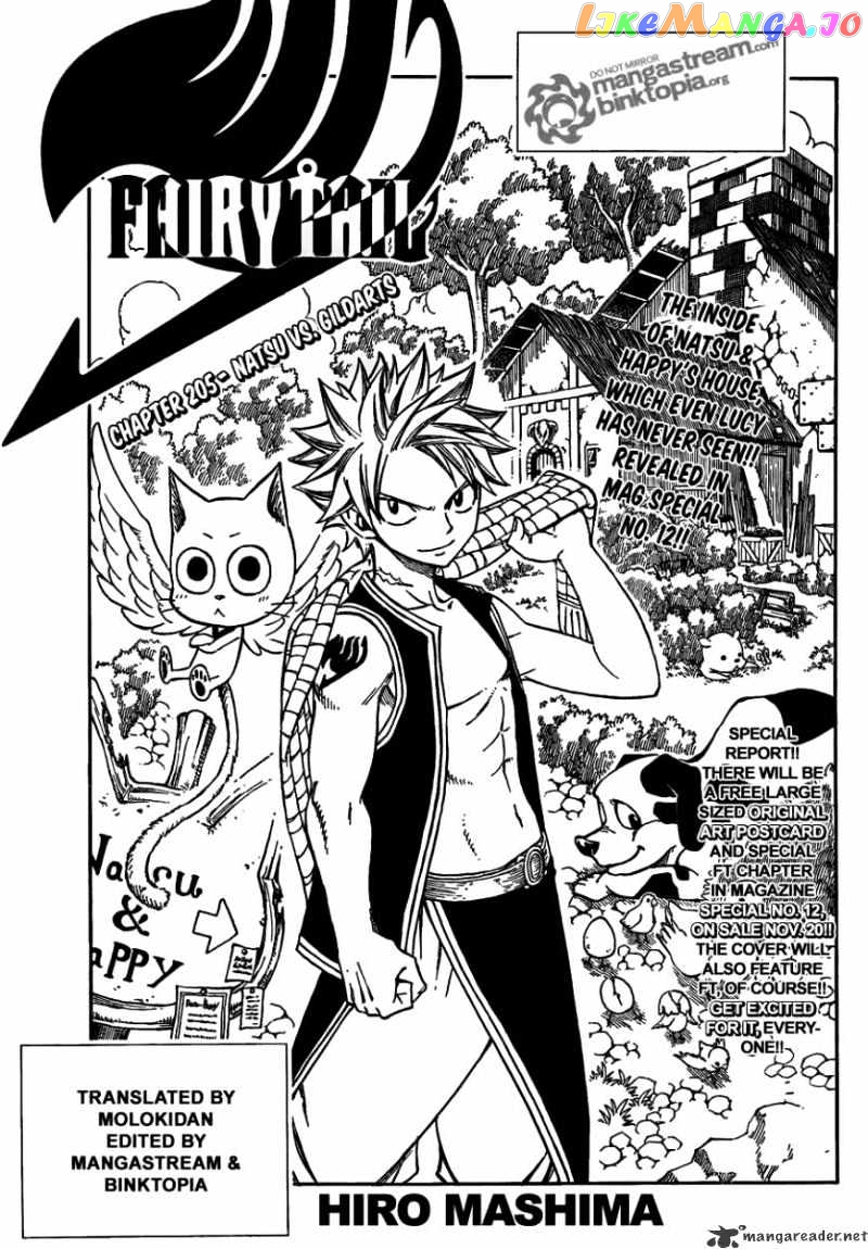 Fairy Tail chapter 205 - page 1