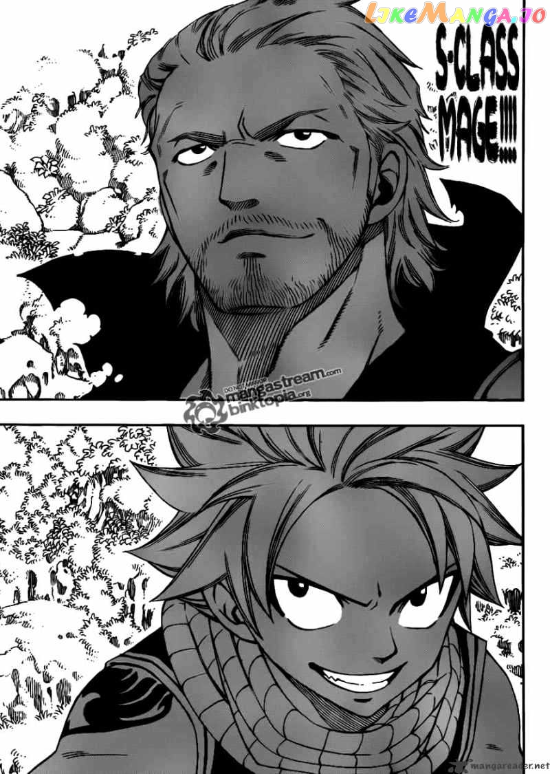 Fairy Tail chapter 205 - page 7