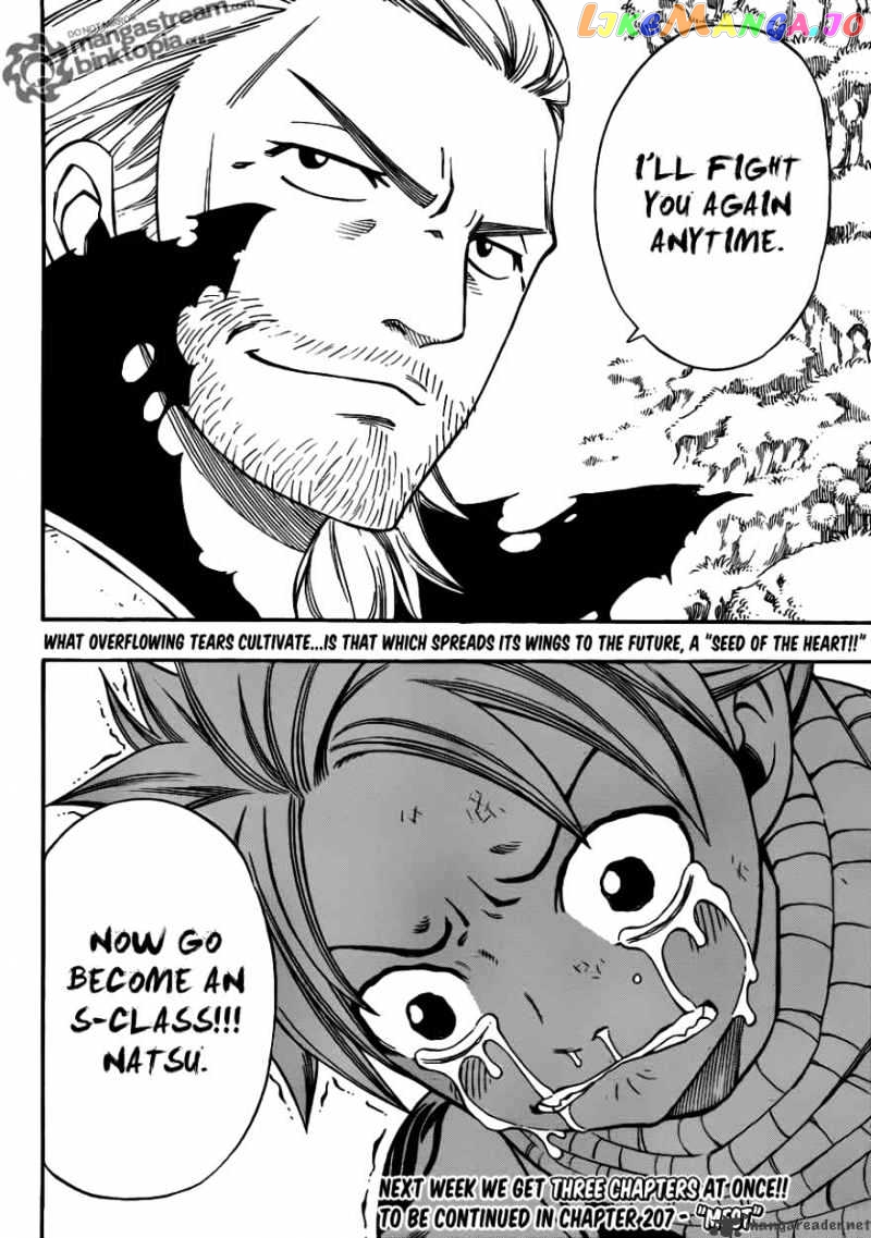 Fairy Tail chapter 206 - page 20