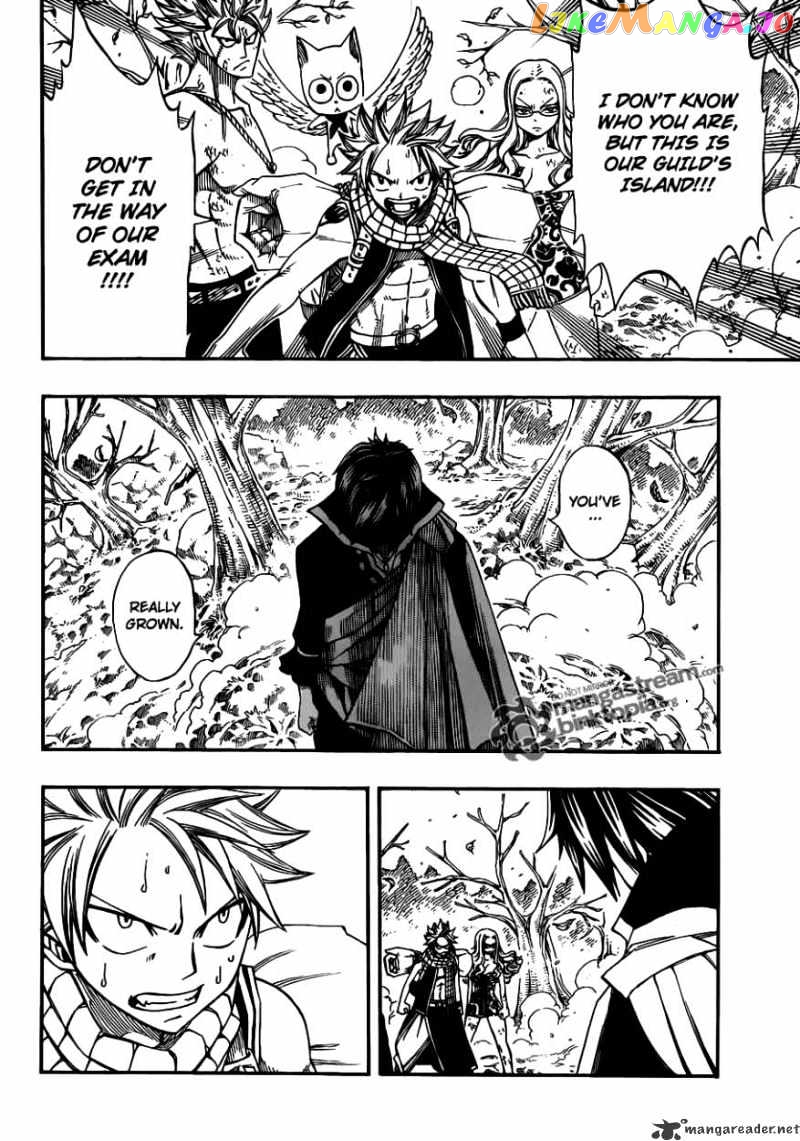 Fairy Tail chapter 209 - page 4