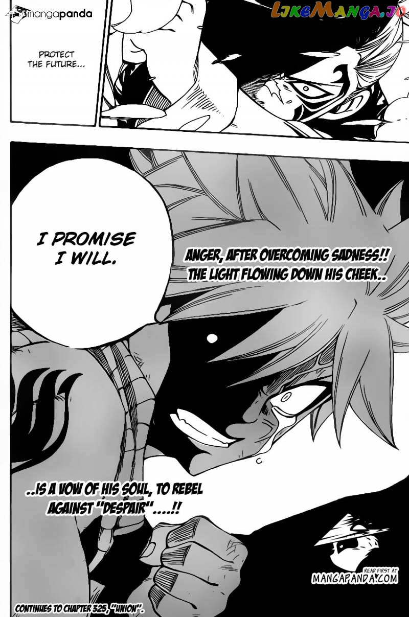 Fairy Tail chapter 324 - page 21