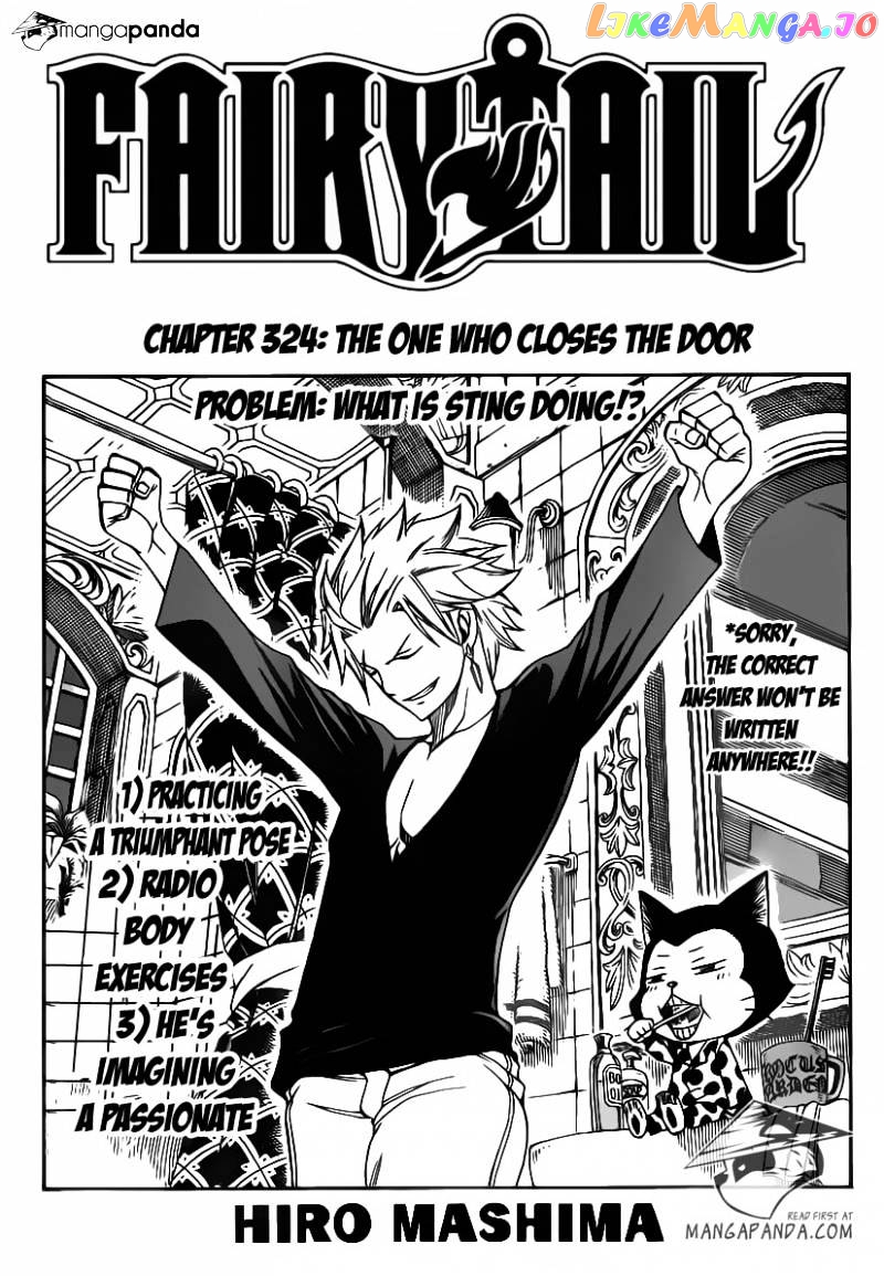 Fairy Tail chapter 324 - page 3