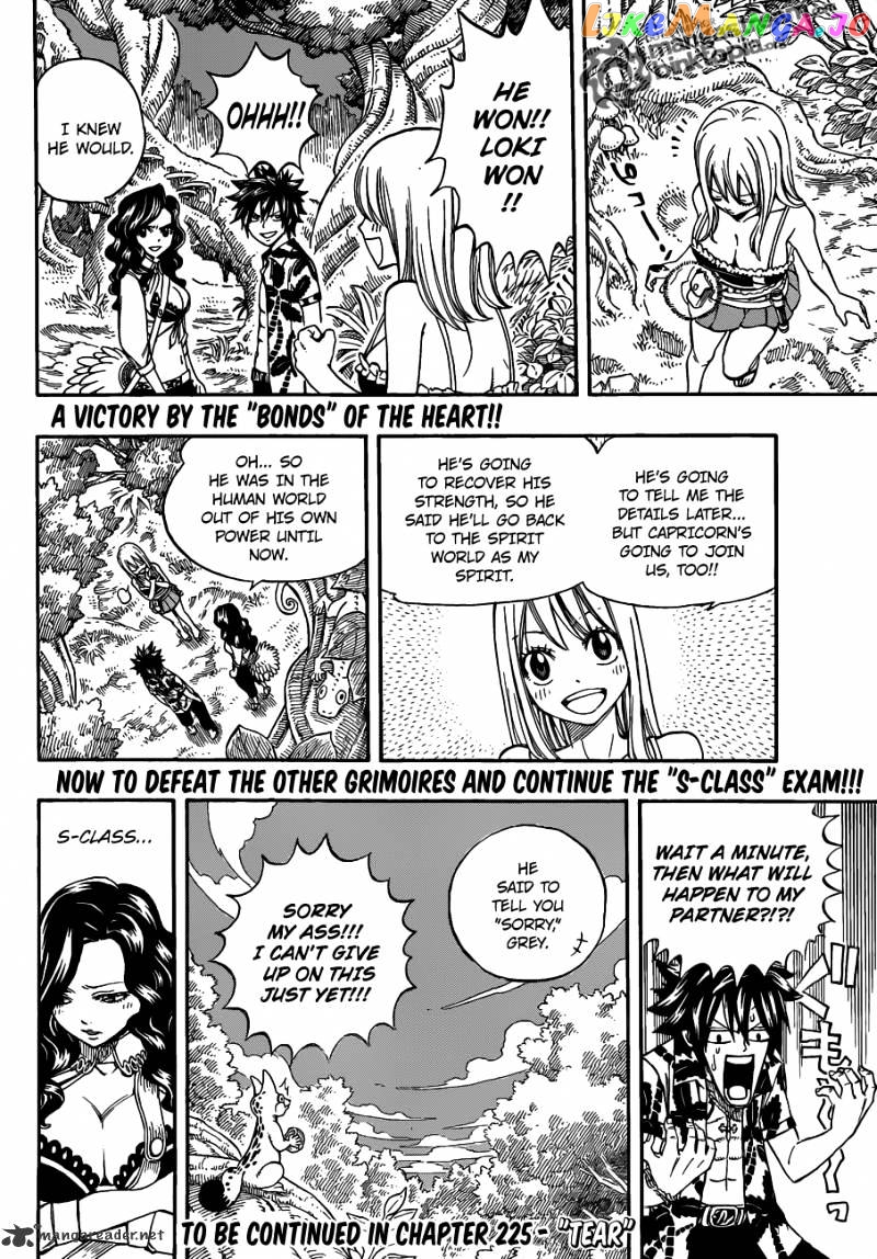 Fairy Tail chapter 224 - page 19