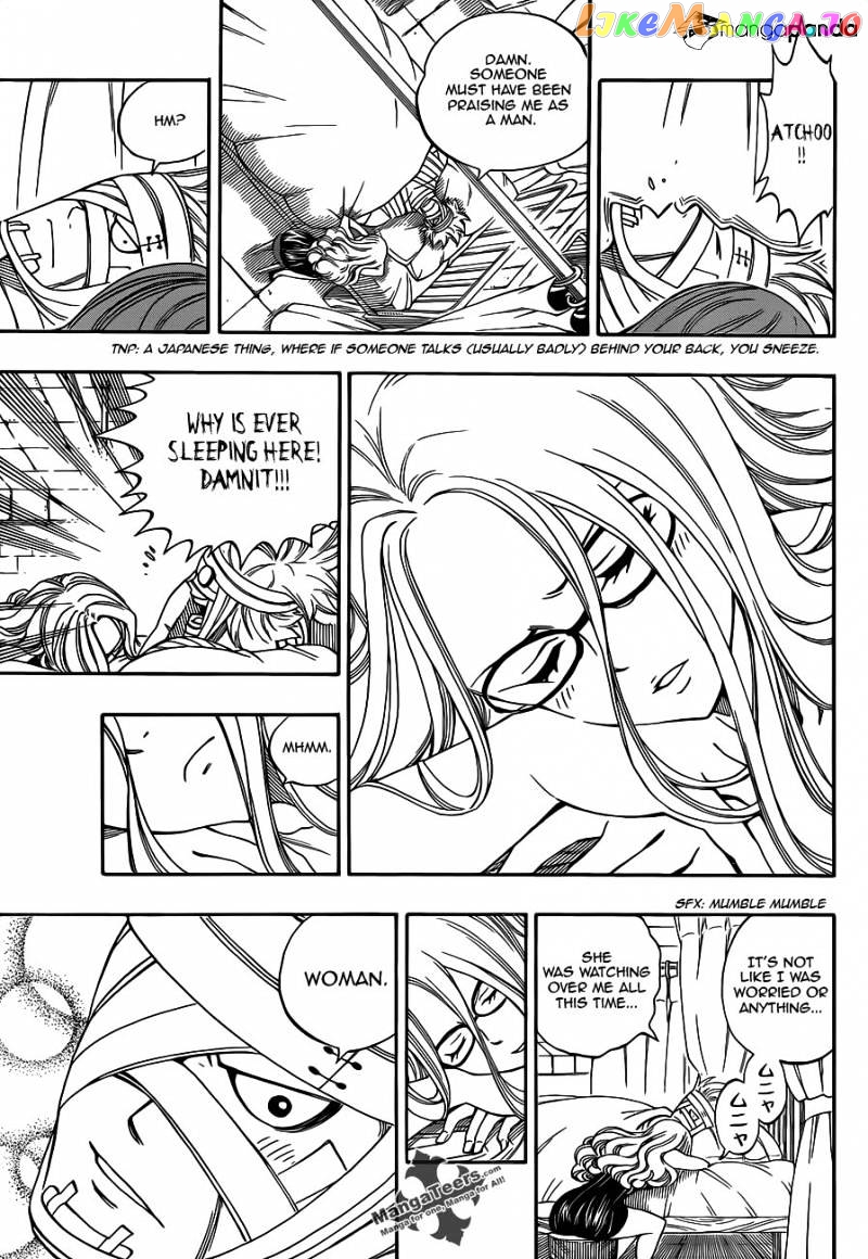 Fairy Tail chapter 290 - page 15