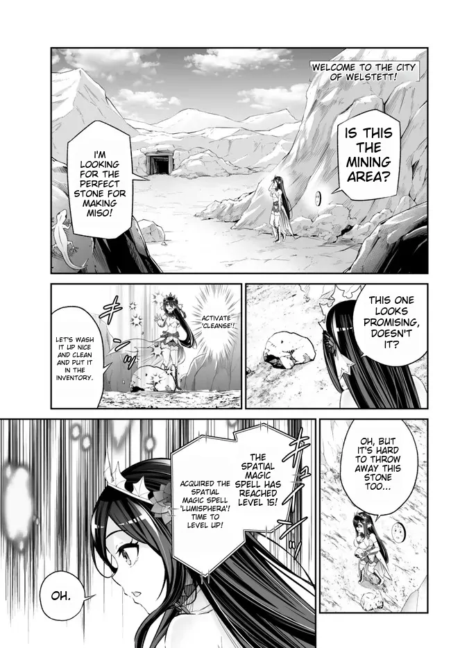 Jingai Hime Sama, Hajimemashita – Free Life Fantasy Online chapter 40 - page 20