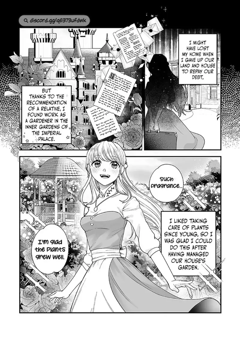 Royal Cinderella Mama - The Orphaned Fallen Noble Lady Is Cherished by the Merciless Emperor Chapter 1 - page 8