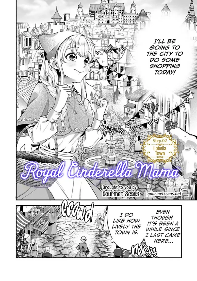 Royal Cinderella Mama - The Orphaned Fallen Noble Lady Is Cherished by the Merciless Emperor Chapter 2 - page 3