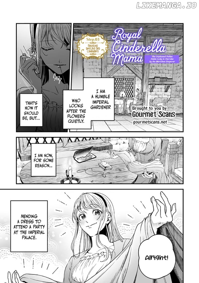 Royal Cinderella Mama - The Orphaned Fallen Noble Lady Is Cherished by the Merciless Emperor Chapter 4 - page 2