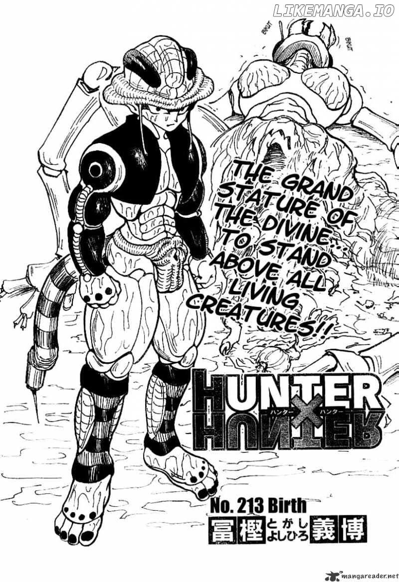 Hunter X Hunter chapter 213 - page 3