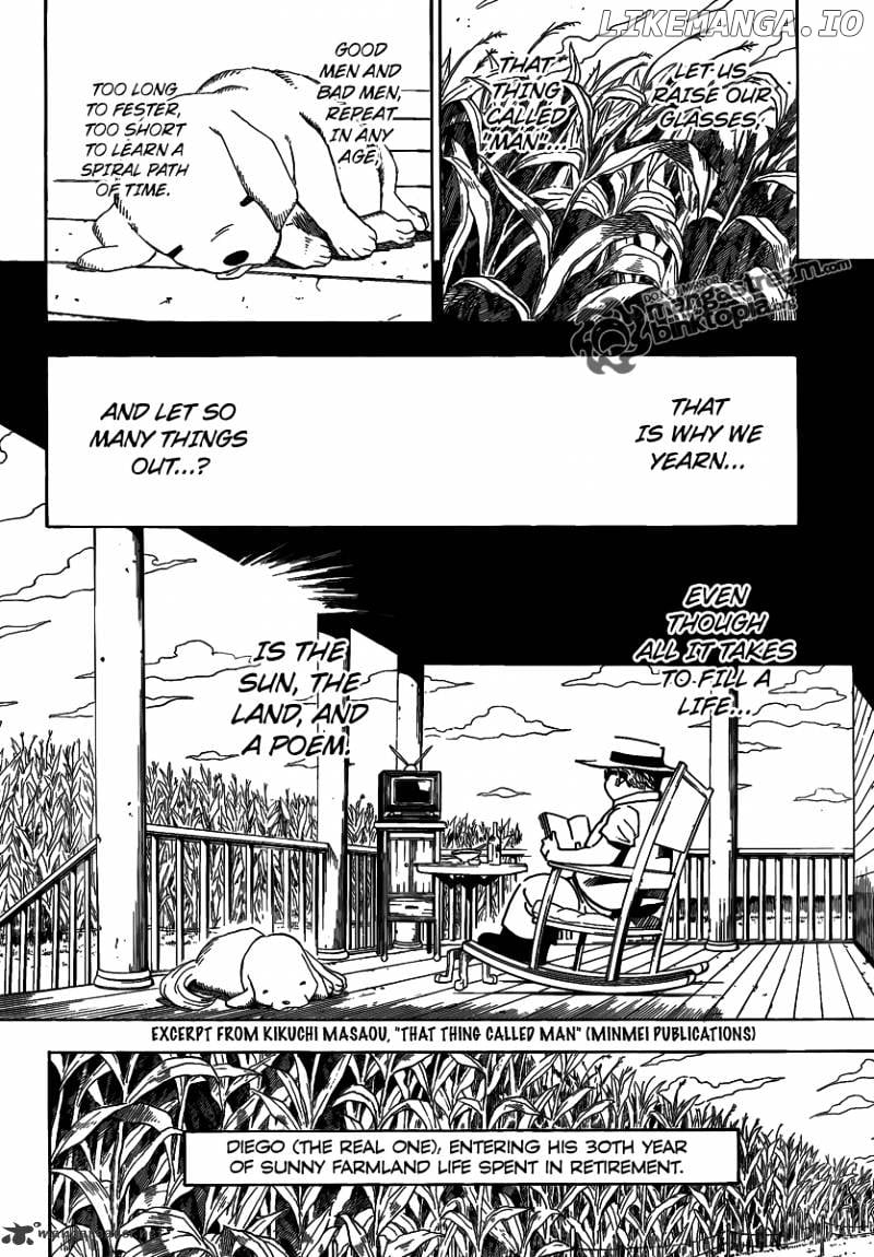 Hunter X Hunter chapter 315 - page 17