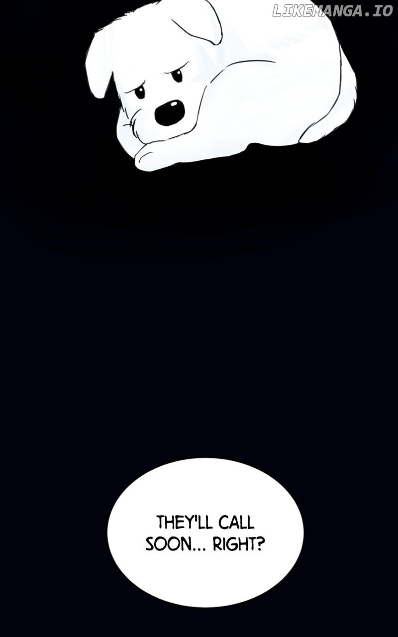 Want to See My Cat? Chapter 2 - page 41