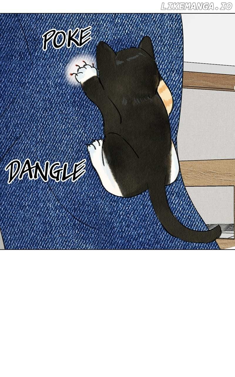 Want to See My Cat? Chapter 4 - page 8