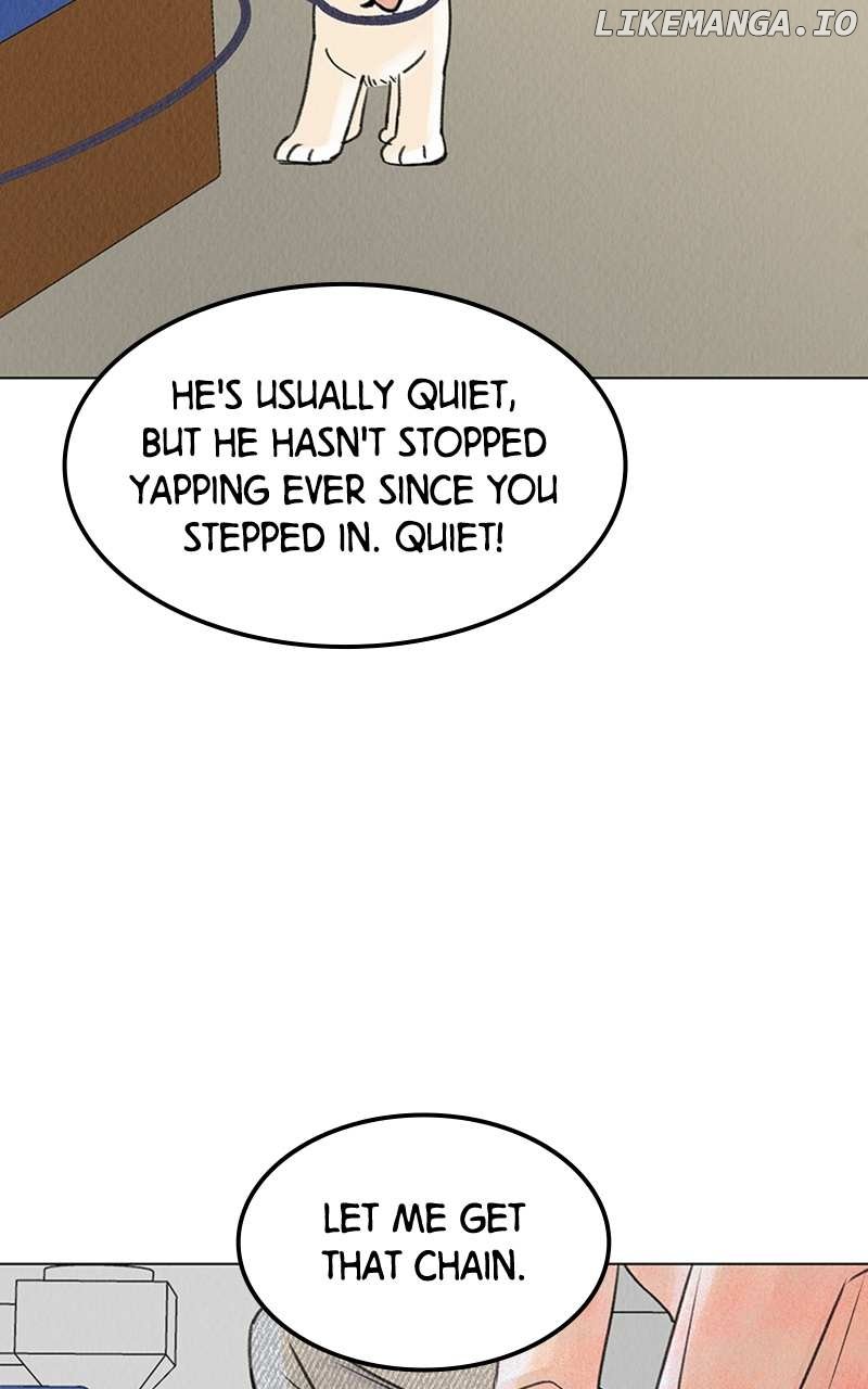 Want to See My Cat? Chapter 6 - page 43