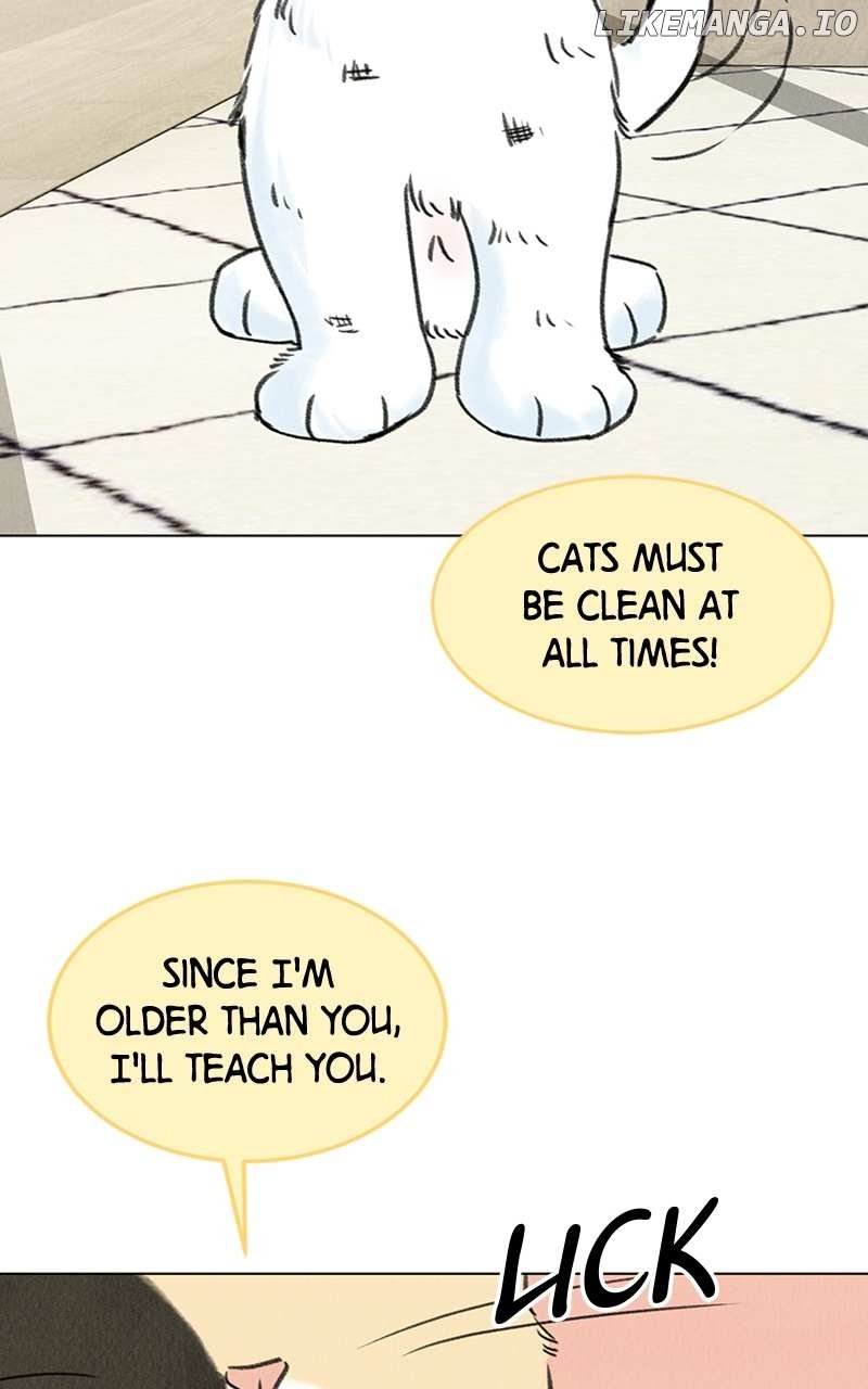 Want to See My Cat? Chapter 6 - page 84