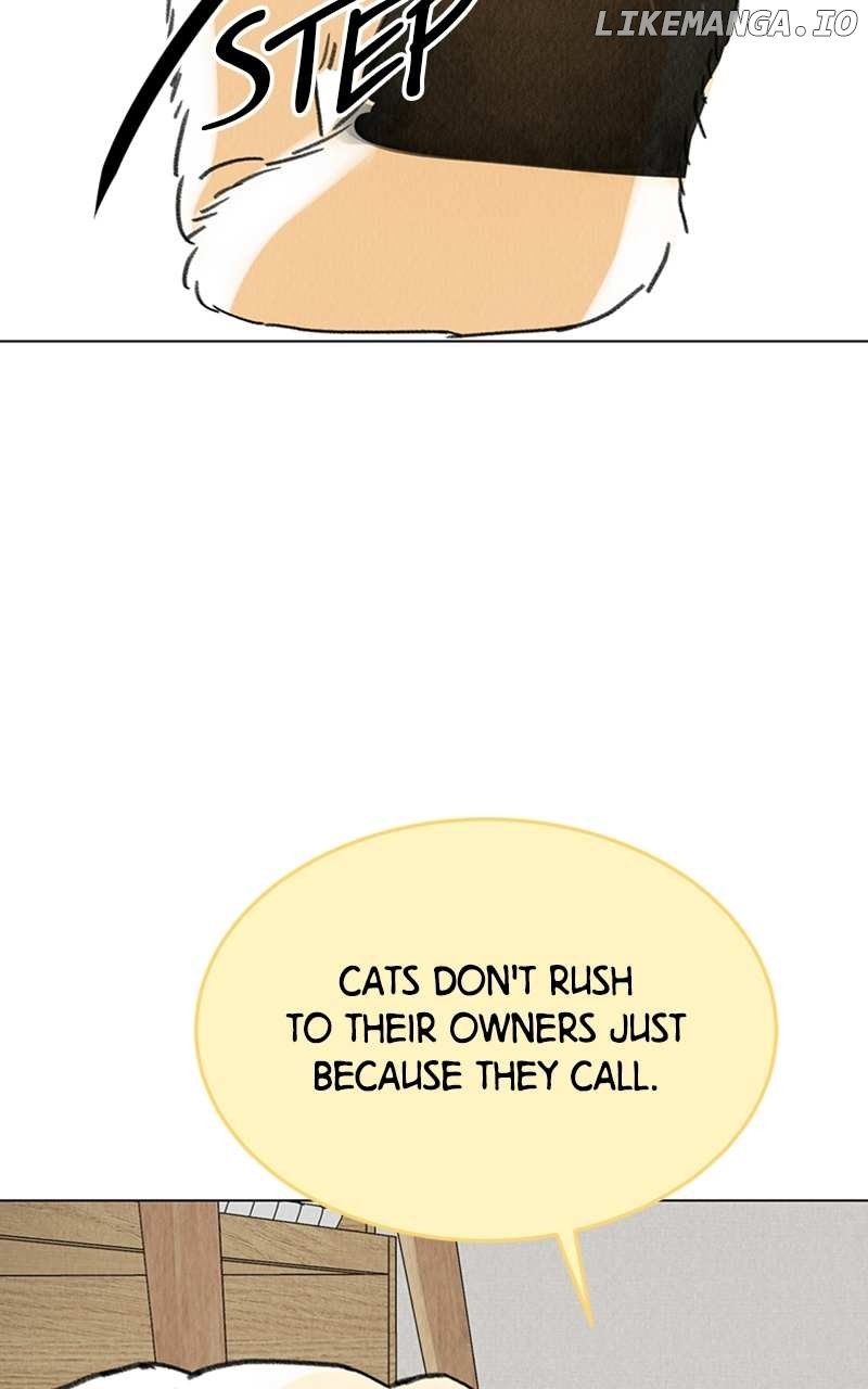 Want to See My Cat? Chapter 7 - page 25