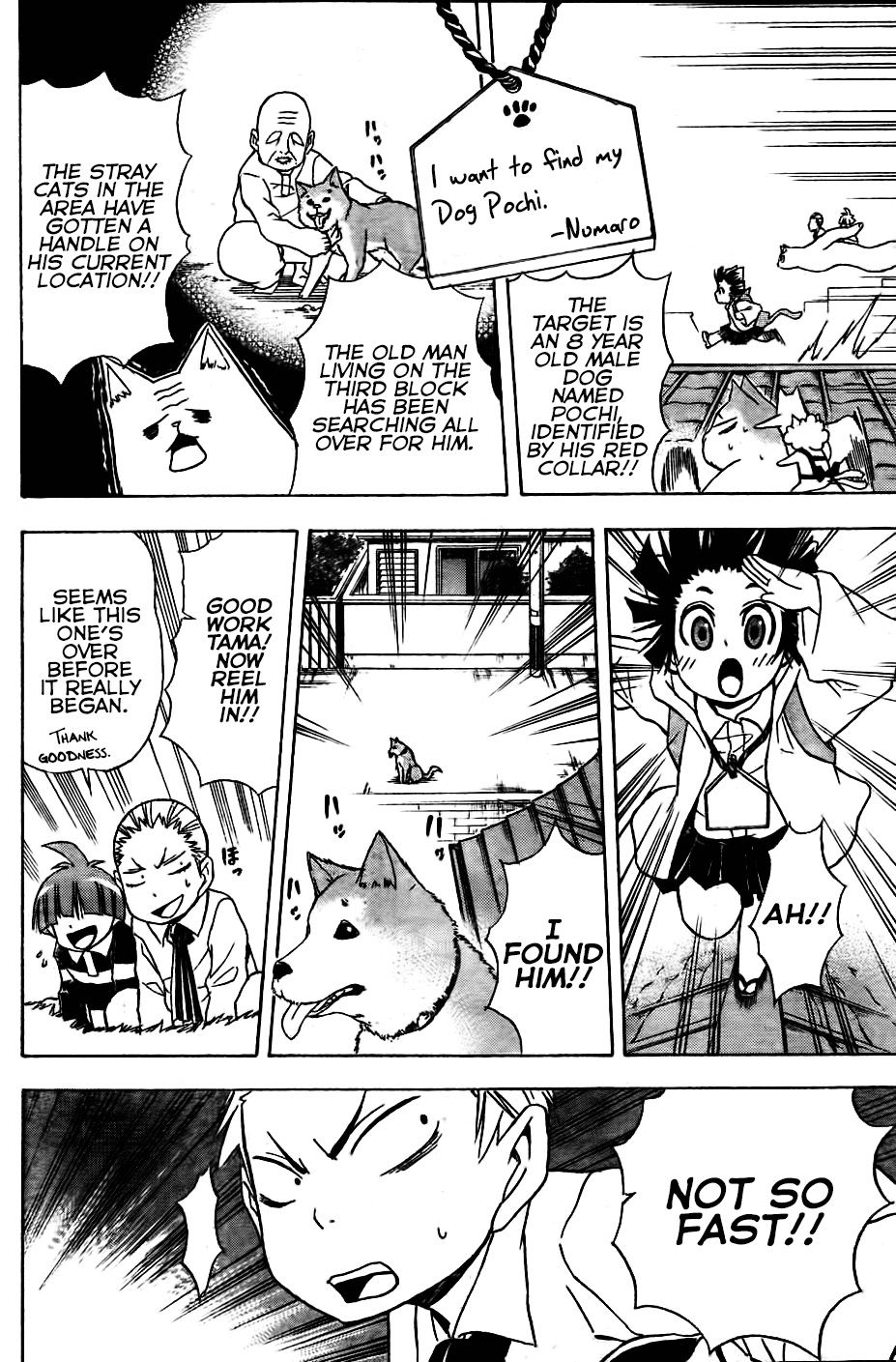 Nekowappa! chapter 4 - page 8