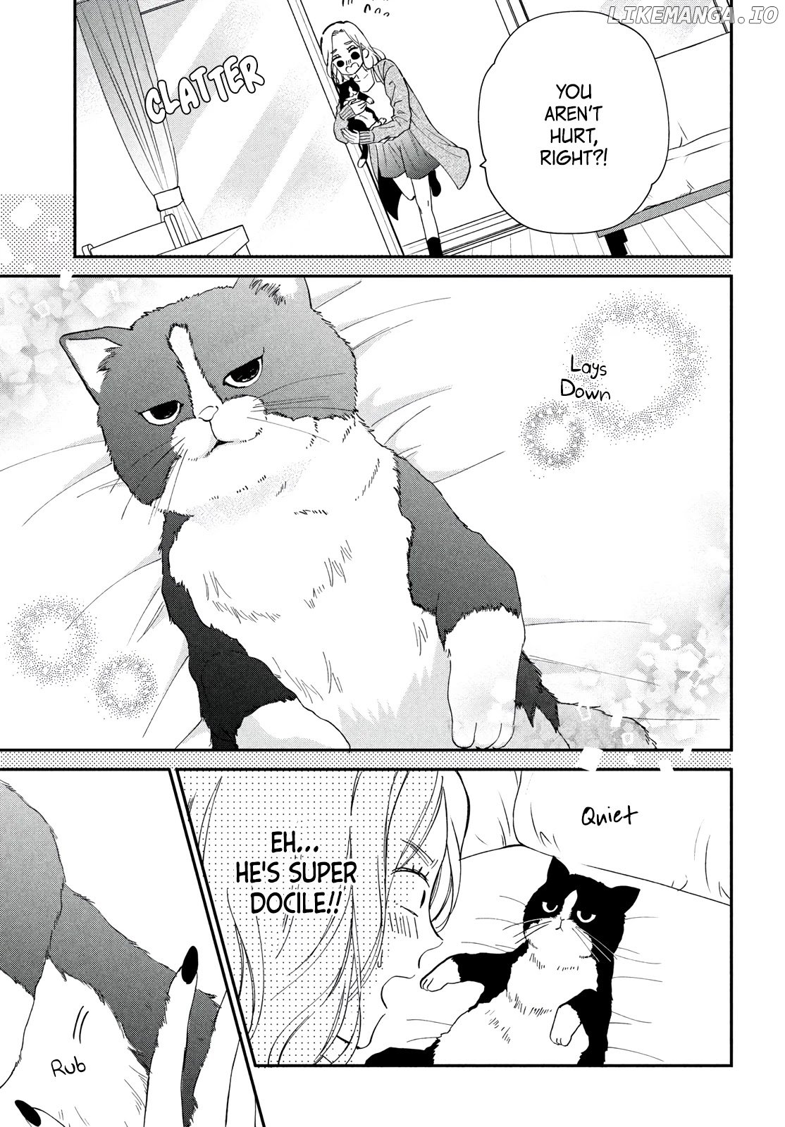 Cat And A Kiss chapter 1 - page 8