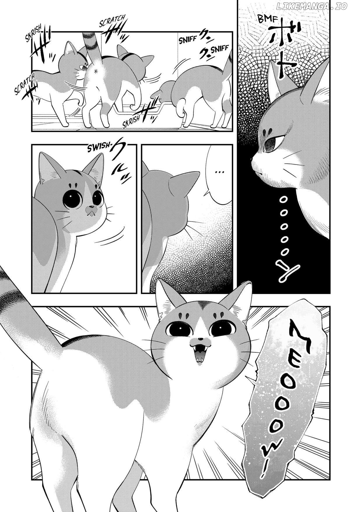 Taro Miyao Becomes A Cat Parent?! Chapter 1 - page 44