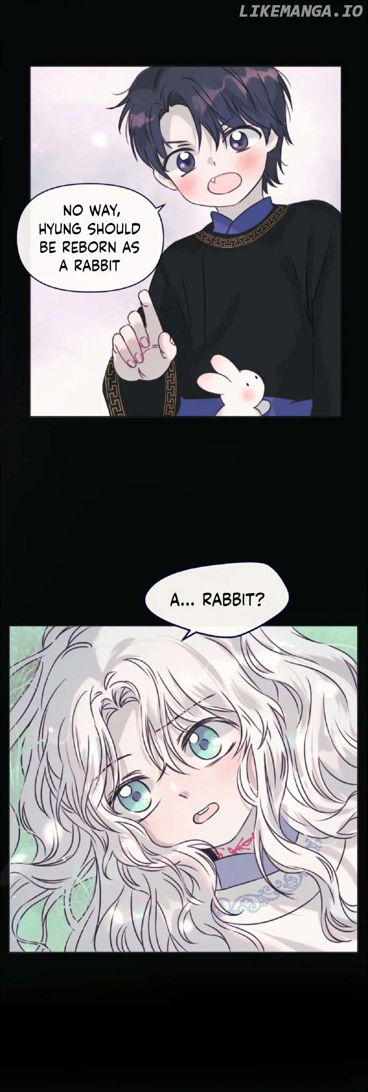 The Baby Dragon and the Rabbit Spirit Chapter 29 - page 2