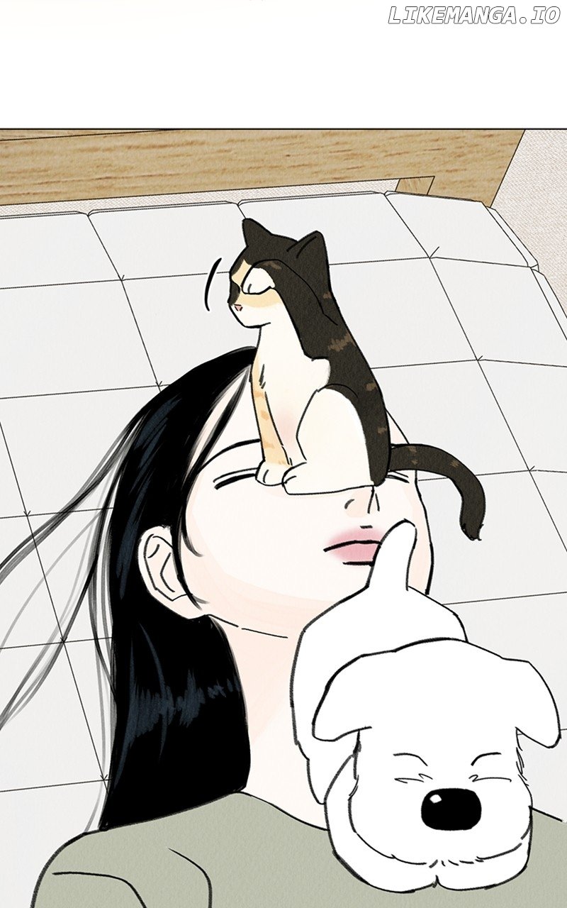 Want to See My Cat? Chapter 12 - page 16