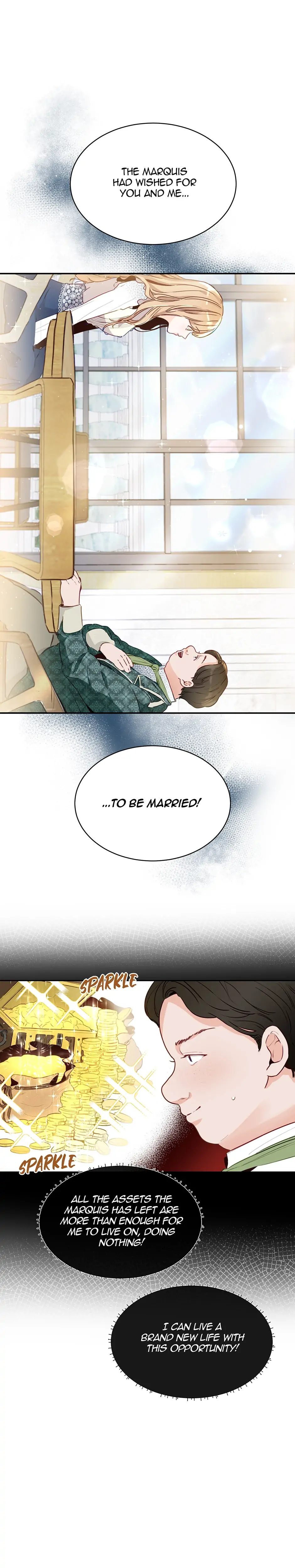 Stealing the Lady's Heart Chapter 3 - page 20